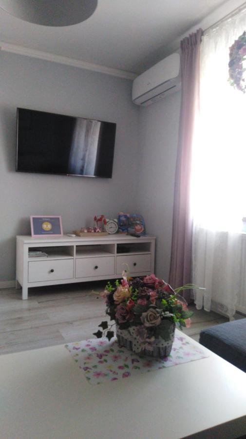 Apartament Antek Klimatyzowany Oswiecim Dış mekan fotoğraf
